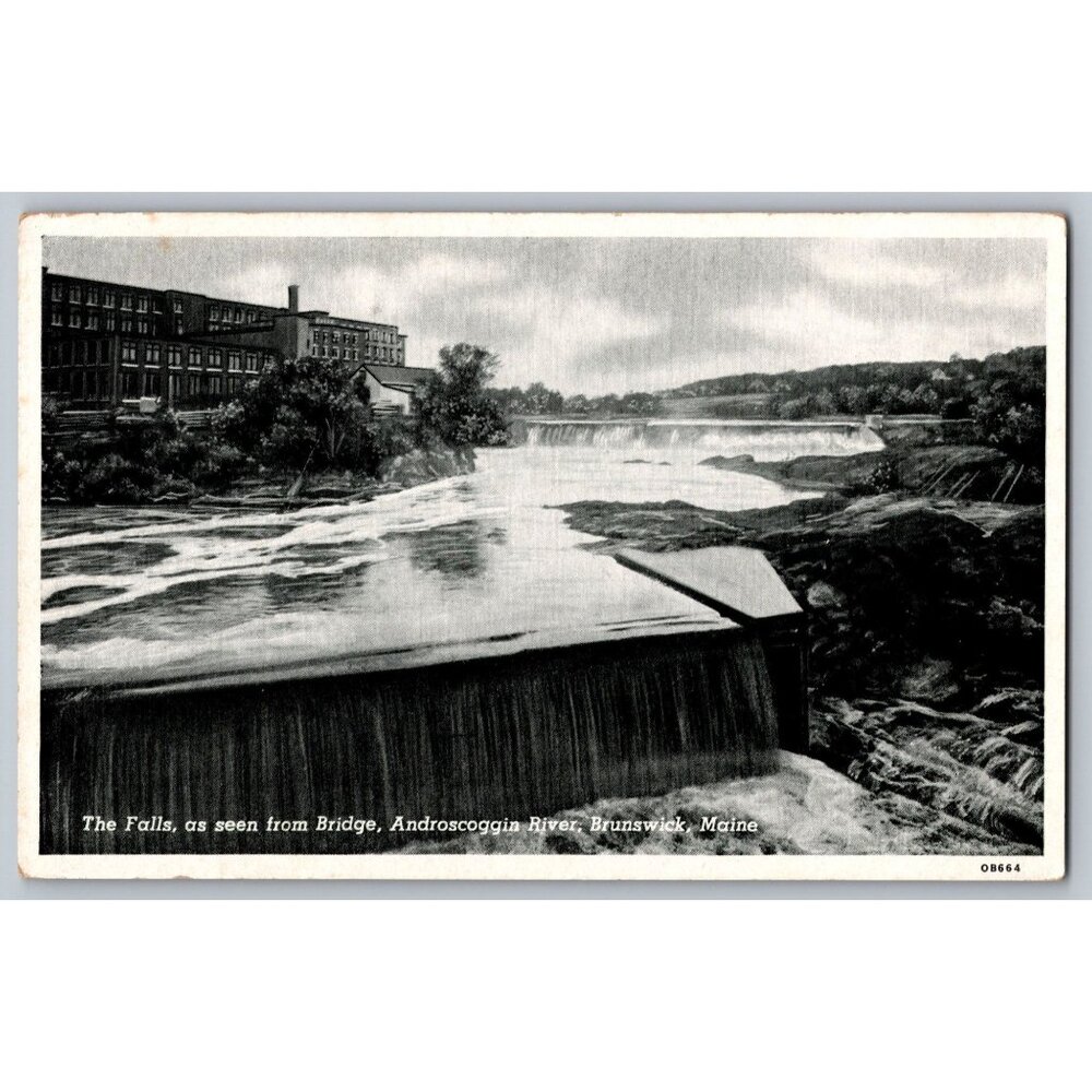 Vintage Postcard The Falls Androscoggin River Brunswick Maine #1644